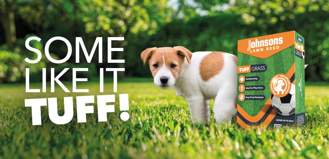 Tuff Grass | The Dog Patch Resistant Grass Seed! 